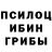 Псилоцибиновые грибы Magic Shrooms Murat Tashenov